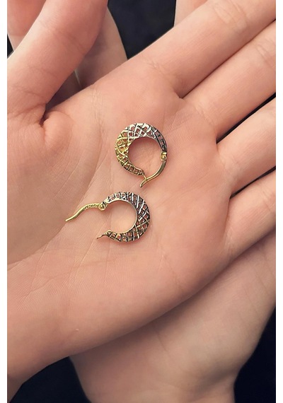 14 Ayar Altın Işıltılı Miya Küpe 001