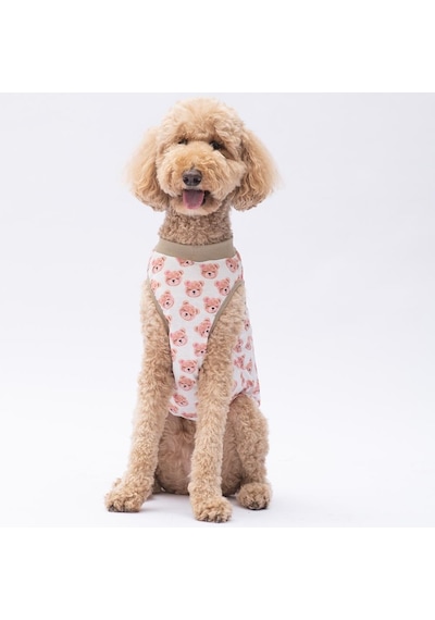 Cute Bears Büyük Köpek Tişörtü - Köpek Kıyafeti 15 Kg-45 Kg