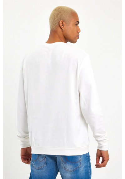 Süperlife Erkek Bisiklet Yaka Regular Fit İnce Sweatshirt Spr 20k30 Ecru