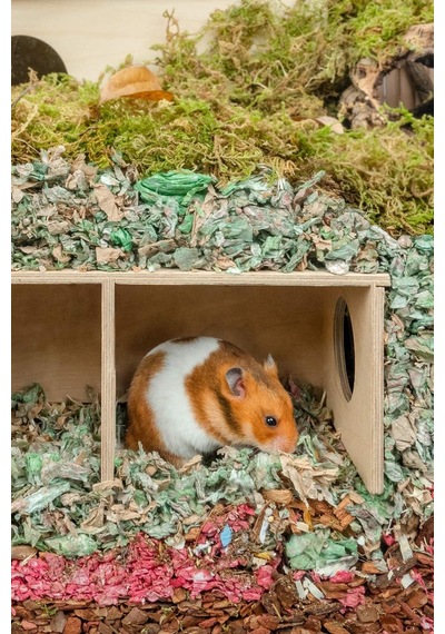 Suriye Hamsterı İçin Büyük Boy Gizli Gözlem Evi - 2 Odalı Tünel Ve Saklanma Oyuncağı