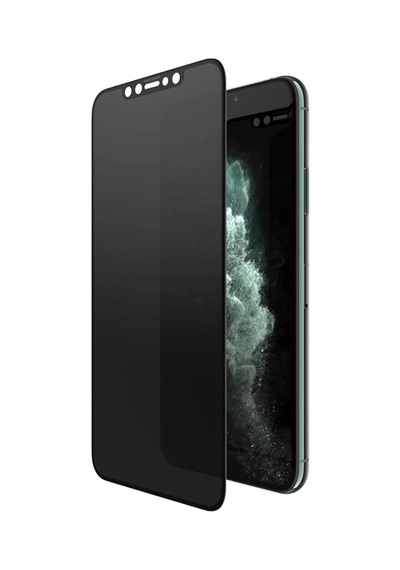 Panzerglass Apple iPhone Uyumlu Xs Max/11 Pro Max Case Friendly Privacy
