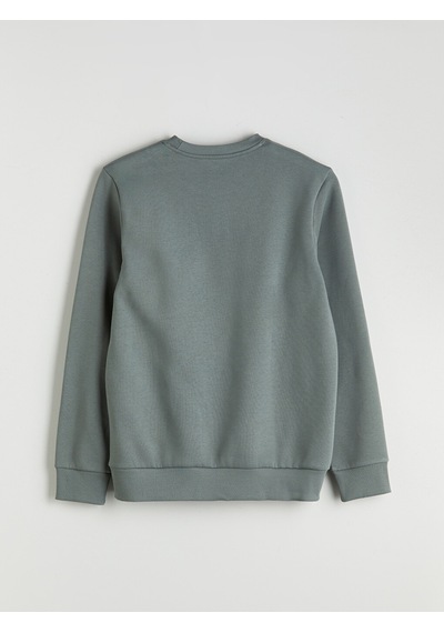 Lcwaıkıkı Classic Yeşil Standart Kalıp Bisiklet Yaka Baskılı Erkek Kalın Sweatshirt