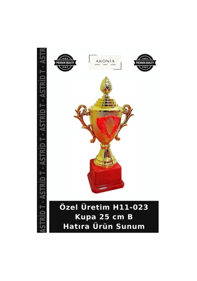 Özel Üretim H11-023 Kupa 25 Cm B Hatıra Ürün Sunum