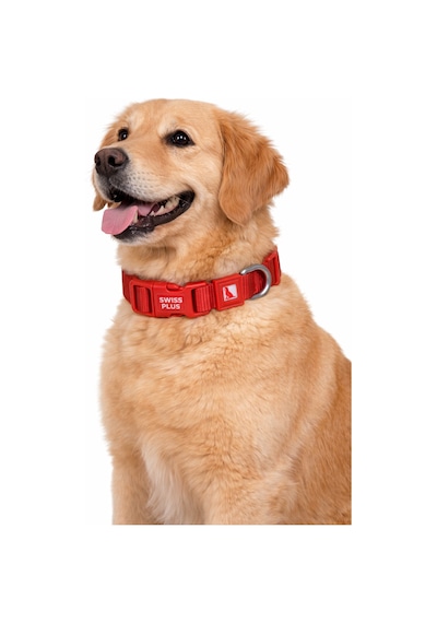 Swissplus Urban Paws Köpek Tasması Crimson Red Ayarlanabilir, Dayanıklı, Hafif-15mm Kırmızı