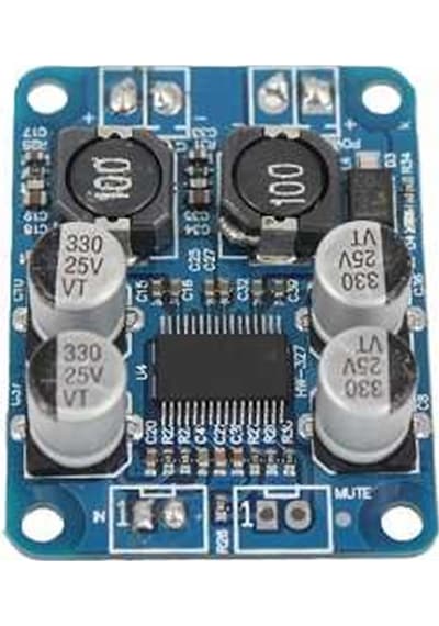 Robodünya-Tpa3118 Pbtl Mono Dijital Anfi Kartı 1X60W
