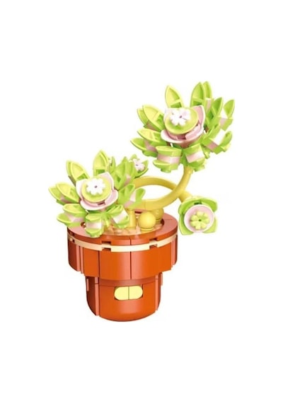 Blossom Graptopetalum Çiçek