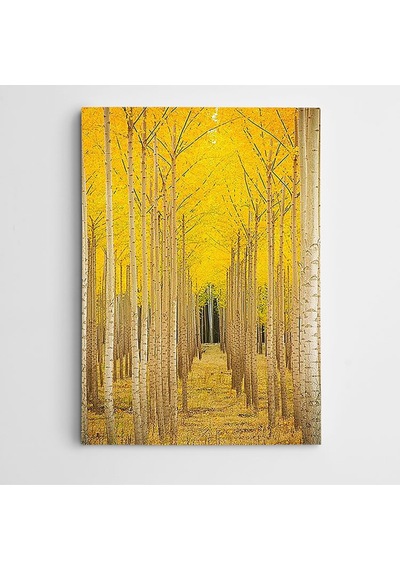 Sarı Ağaçlar Dekoratif Kanvas Tablo 70 X 100 Cm