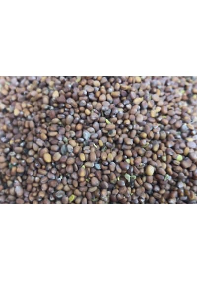 Sanita Roka Tohumu 1 KG