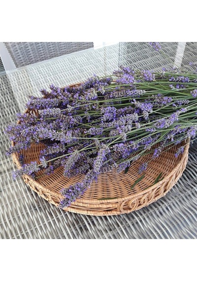 Lantana 45x6 Cm. Rattan Tepsi Bej