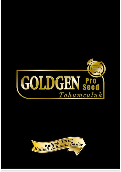 Goldgen Havuç Tohumu 1 Paket