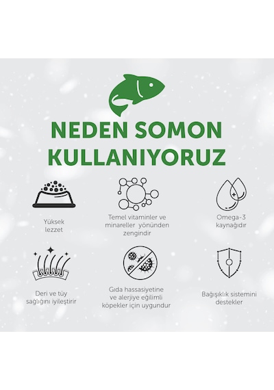 Nature S Protection Superior Care Kızıl Tüylü Köpekler İçin Somonlu Hipoalerjenik & Ağız Bakım Köpek Ödülü 150g