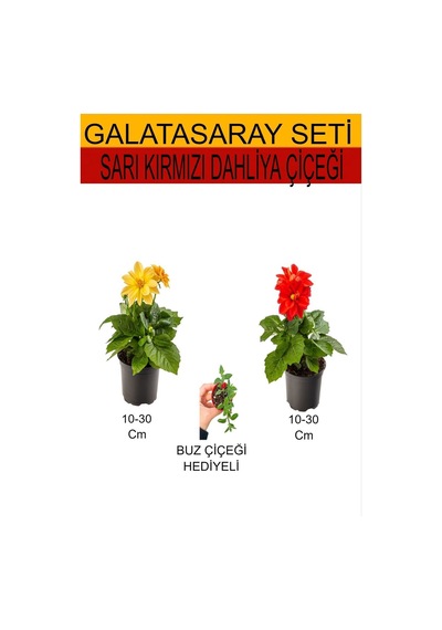 2'li Takım Seti Sarı- Kırmızı Dahliya Çiçeği Hediyelik Mini Buz Çiçeği