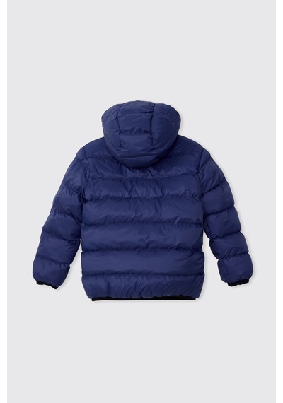Panço Erkek Çocuk Saks Kapüşonlu Mont 2621bk21010 Mavi