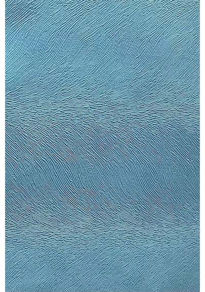 Enesar Home Tay Tüyü Premium Döşemelik Kumaş Taytüyü Mavi 100 x 140 cm