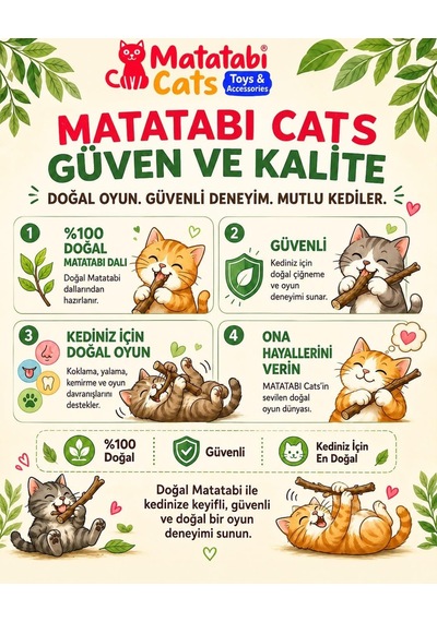 Ayrex Kedim İçin Matatabi Stick Ve Matatabi Oyuncak Seti 5 Parça