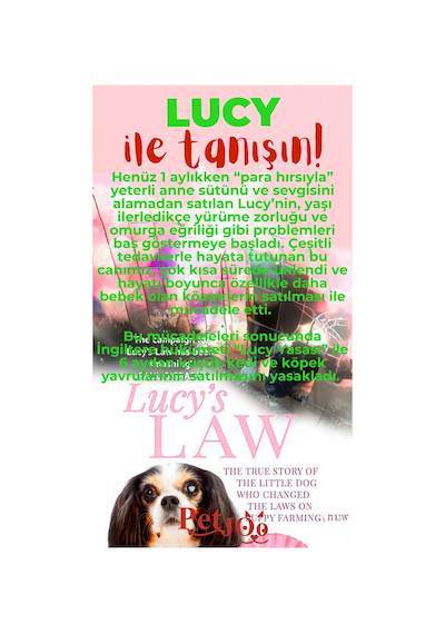 Petjoo 11.Lucy Kırmızı-Yeşil Qr'lı Köpek Künyesi