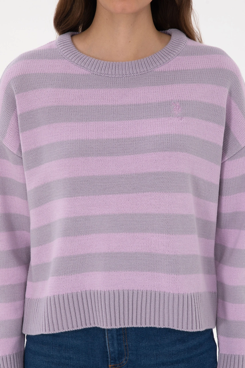 U.S. Polo Assn. Kadın Mor Çizgili Bisiklet Yaka Kazak 50314653-VR245