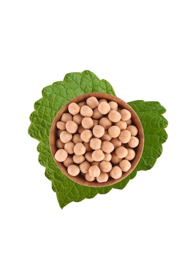 Antik Çıtır Leblebi 500 G