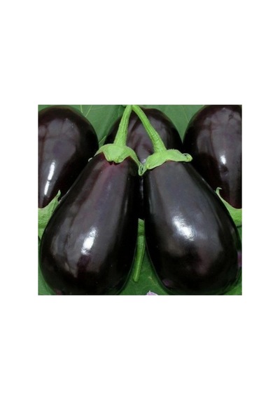 Topan Patlıcan Tohumu - 5 Gram