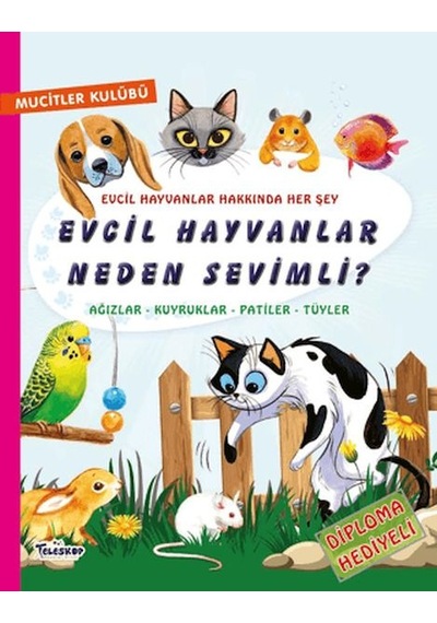 Evcil Hayvanlar Neden Sevimli