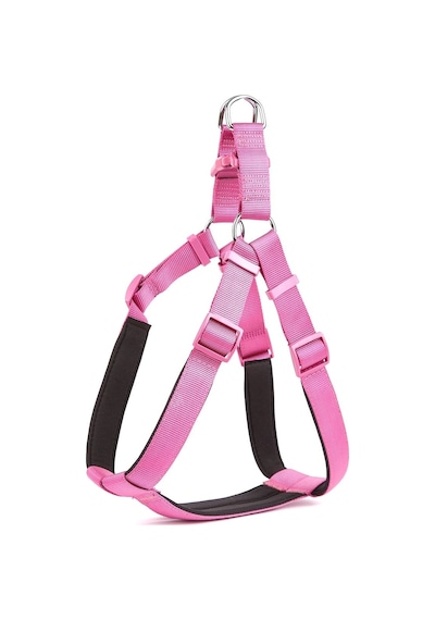 Doggie Comfort Ronin Köpek Bel Tasması 3 CM - 75 x 85 Cm x-Large Mor