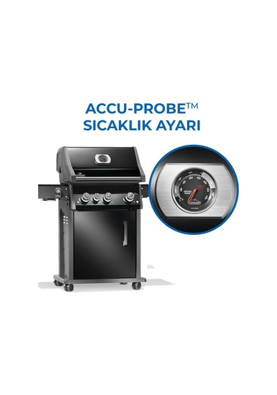 Rogue Pro 425 Sıb Gazlı Mangal - Siyah