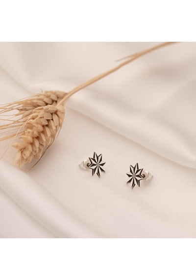 Dkmn Gümüş 925 Ayar Gümüş Kazımalı Yıldız Unisex Sembol Küpe