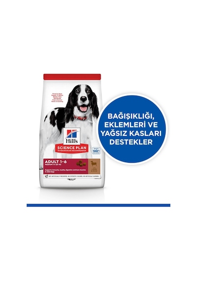 Hill's Hills Orta Irk Kuzu Etli Yetişkin Köpek Maması 12+2 Kg