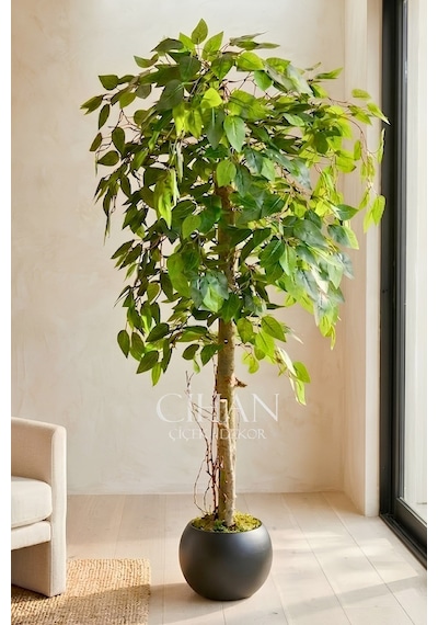 Yapay Benjamin Ağacı 27x33 Küre Saksılı 140 Cm Beyaz