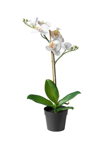 Yapay Orkide Beyaz 9 Cm MeridyenDukkan 9 cm Yapay Çiçek Orkide