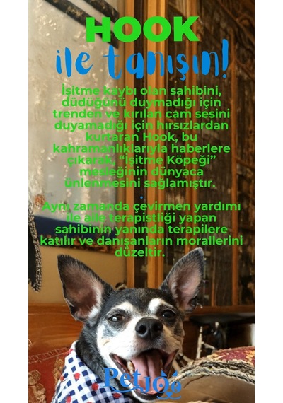 Petjoo 7.Hook Mavi-Yeşil Qr'lı Köpek Künyesi