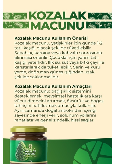 Doğal Kozalak Macunu Enerji Ve Direnç Desteği %100 Katkısız Bitkisel