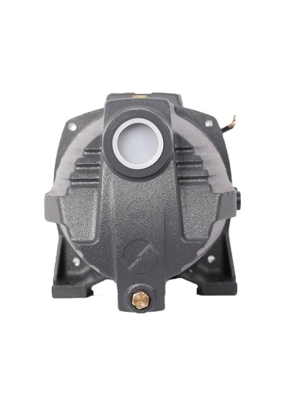 Leo Ajm110 Kendinden Emişli Jet Pompa 1.5 Hp 220v
