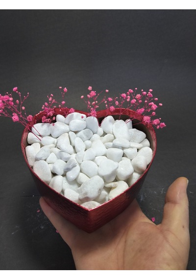5 Kg Doğal Beyaz Dolomit Taşı 2-4 Cm Saksı Üstü Dekoratif Taş, Sukulent & Kaktüs Taşı
