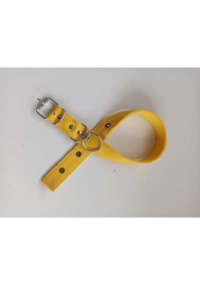 Kozaklı Orta Irk Köpek Tasması Sarı 60 x 3 CM