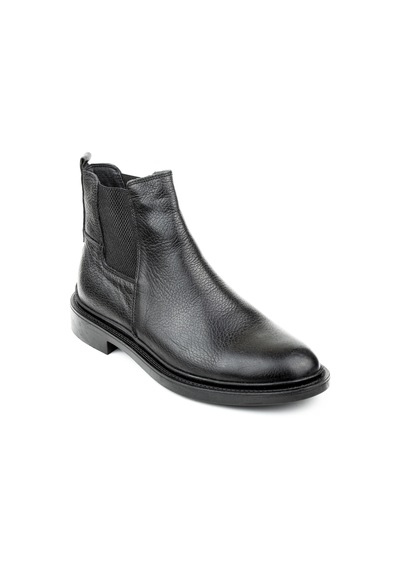Dexter Dx396105-1 Renkli