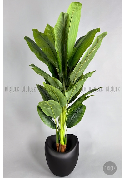 Biçiçek Yapay Muz Ağaci 210 Cm 4 Gövdeli̇ 21 Yaprak Mocha Lale Saksıda