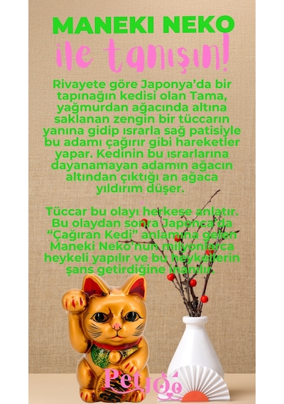 Petjoo 4.Maneki Neko Pembe-Yeşil Qr'lı Kedi Künyesi