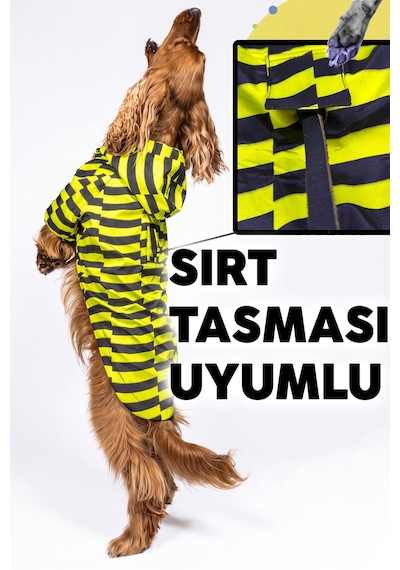 Köpek Yağmurluk, Su İtici Özellikli, Sırt Ve Boyun Tasması Uyumlu, Çıt Çıtlı, İki Kademeli Ayarlanabilir Çok Renkli Köpek Yağmurluk, Su İtici Özellikli, Sırt Ve Boyun Tasması Uyumlu, Çıt Çıtlı, İki Kademeli Ayarlanabilir Çok Renkli