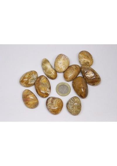 Tibet Akik Taşı ( 20-29 Gram)