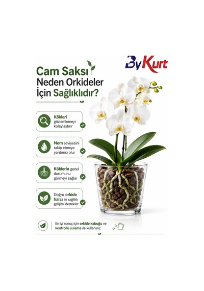Cam Orkide Saksısı 13 Cm Şeffaf Cam Saksı 12 Pota Uyumlu Dekoratif Orkide Saksısı 2 Adet