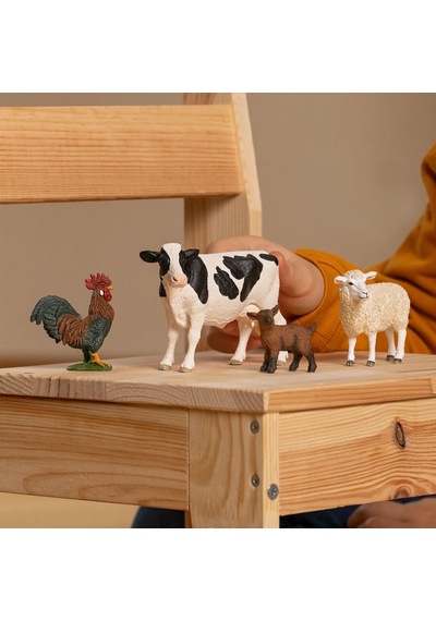 Schleich Çiftlik Başlangıç Seti 42729
