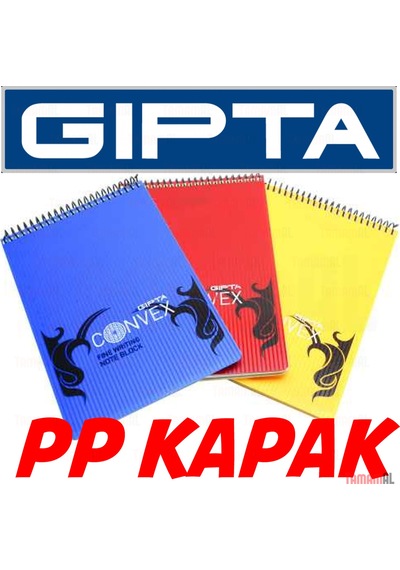 Gıpta A4 Dik Spiralli Çizgili Kareli Pp Kapak Defter Bloknot