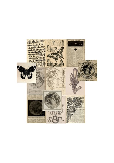 A5 Gotik Fairygrunge Wall Collage Poster Seti Hediyelik Genç Odası Estetik Duvar Afişi