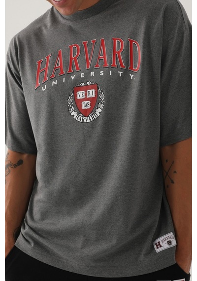 Harvard Erkek Antrasit Erkek Tshirt 5274-42469 Antrasit Melanj