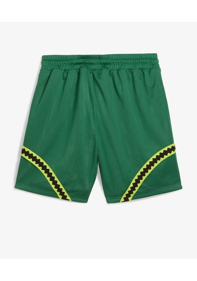 Puma Tmnt Erkek Şort 630931-01 Yeşil