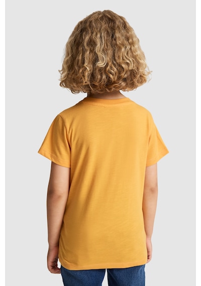 U.S. Polo Assn. Erkek Çocuk Tişört 50327007-vr244 Mango