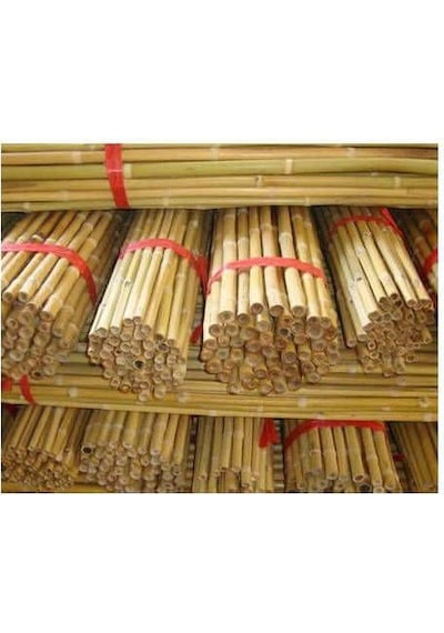Bambu Bitki Destek Çubuğu 75 Cm 20 Adet