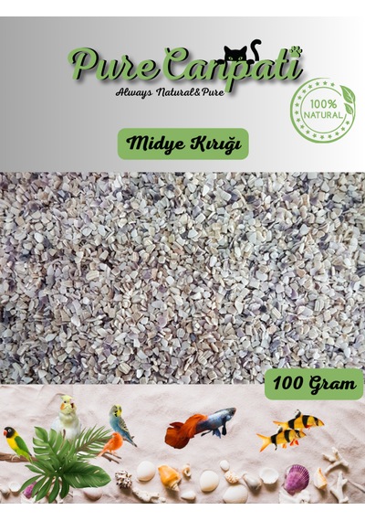 Purecanpati Midye Kırığı 100 G