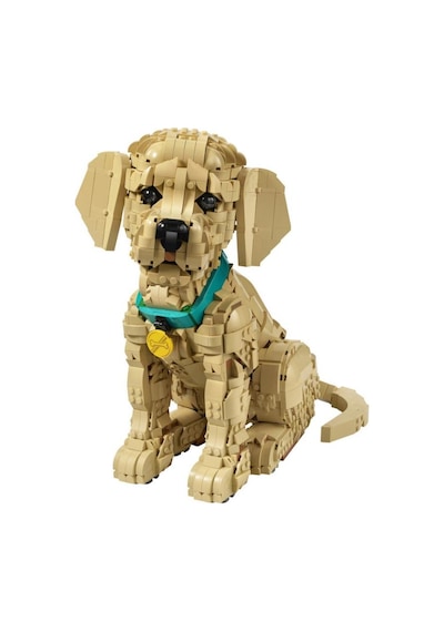 Lego 11384 Icons Yavru Golden Retriever
